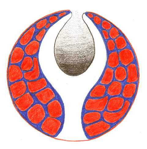  Odile Gara - Mandala 